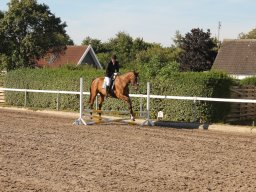 img_7174_web